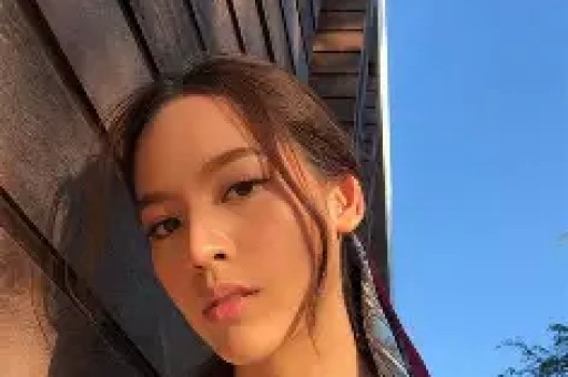 包含明星动态与娱乐八卦的微博内容汇总